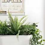 Garden Oasis With Patio